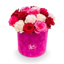 Květinový box růží